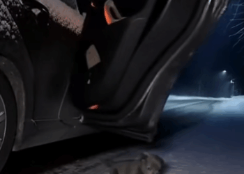 M0911017_Left in Snow Found by Love #CatRescue #WinterStory #Res…_part2