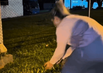 M0111013_Mais um dia que termina com resgate… 💔🥺_part2