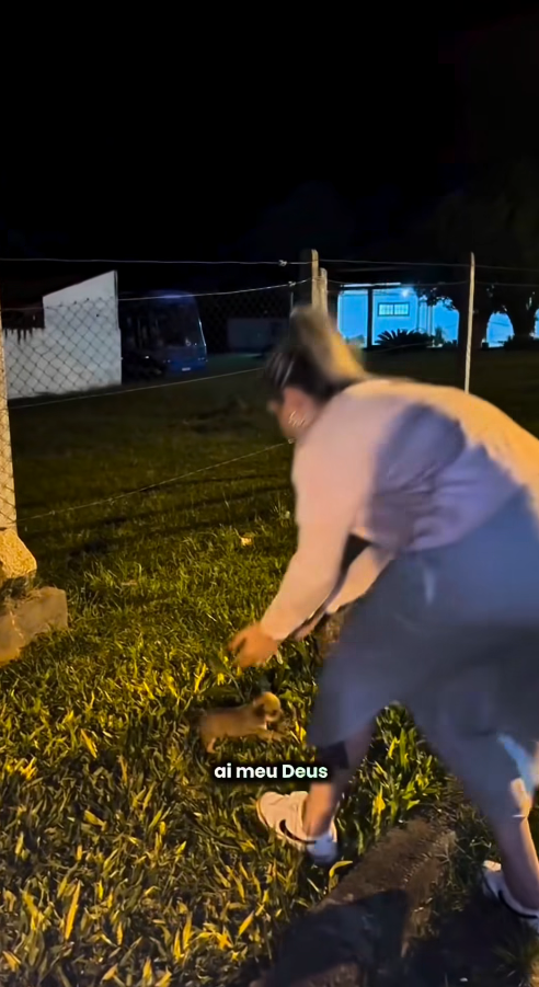 M0111013_Mais um dia que termina com resgate… 💔🥺_part2