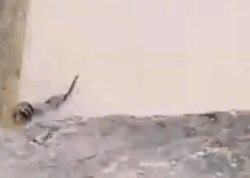 M0111018_8IZ370HJ_part2