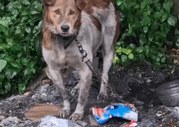 M1111005 I feel hurt part2