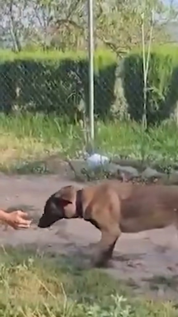 M1111008 Atención  part2