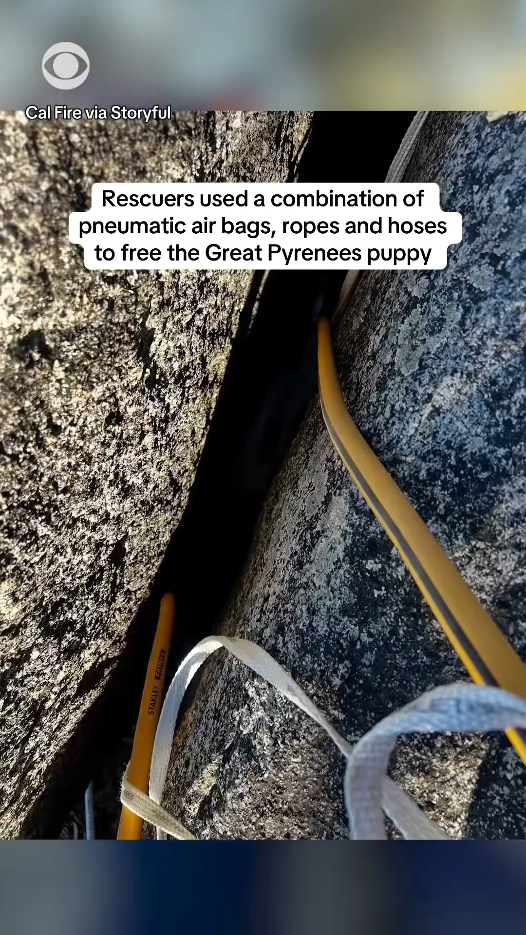 M1111009 Firefighters rescuers in Ramona, California, freed month old part2