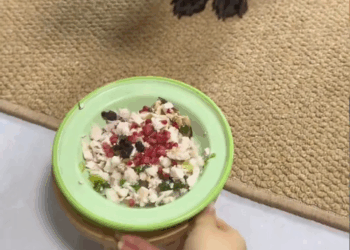 M1111019 Rescue dog has fallen into well then #rescue #fyp #anima