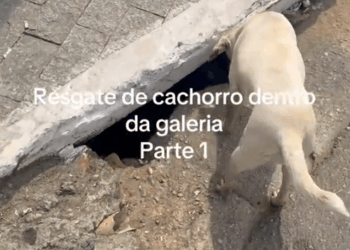 M0111011_No Title_part1