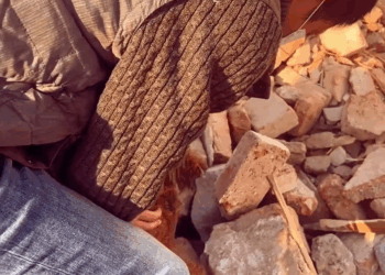 M1111027 poor dog doesn know how much it has suffered outside, it ma