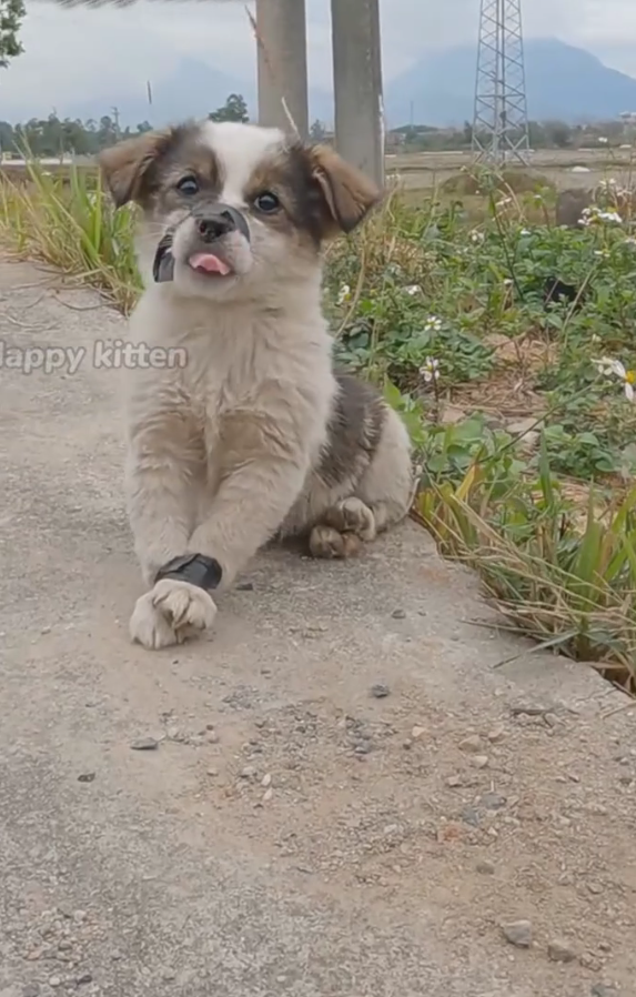 M0911002_He Cried Days as People Passed Him By Until Happened_part2