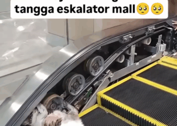 M0911005_Terima kasih pak teknisi dan staff mall, #fyppppppppppppppppppppppp_part2