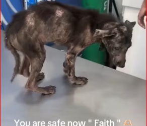 M0812021_Remember Faith Eto na po siya � Raevin Bonifacio Blogs_part2