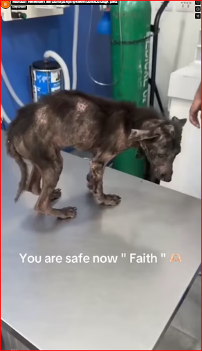 M0812021_Remember Faith Eto na po siya � Raevin Bonifacio Blogs_part2