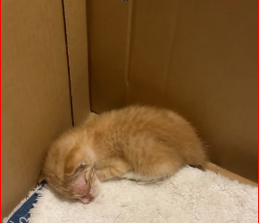 M0812023_Tinuro mo sakin na kahit gaano kahirap ang simula mo, pwede pa ring maging maganda ang kwento. Happy 1st birthday my ta