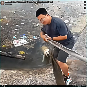 M0112005_poor dog couldn climb up got stuck, but good man came an…_part2