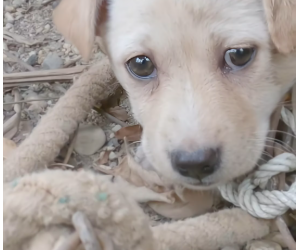 M0812044_@cute cat @cute cat @cute cat #wheni looked at his eyes knew_part2