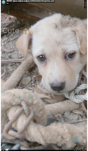 M0812044_@cute cat @cute cat @cute cat #wheni looked at his eyes knew_part2