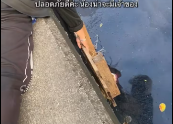 M0812047_Stay safe, everyone. The organization is falling apart. When someone in the cage has blood, it might…_part2