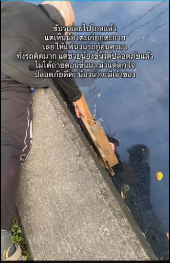 M0812047_Stay safe, everyone. The organization is falling apart. When someone in the cage has blood, it might…_part2