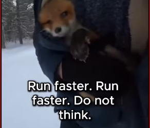 M1212004_He Was Drowning Under The Ice_part2