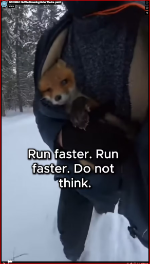 M1212004_He Was Drowning Under The Ice_part2