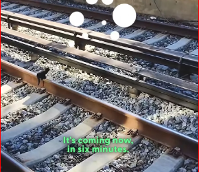 M1212019_Kitten Saved From Train Tracks With Minutes To Spare_part2