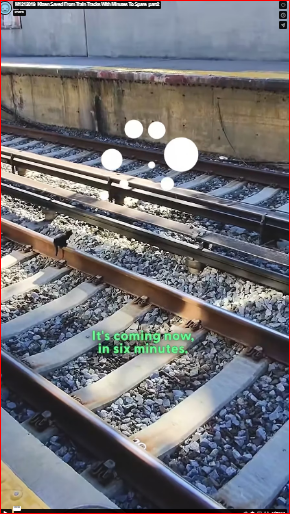 M1212019_Kitten Saved From Train Tracks With Minutes To Spare_part2