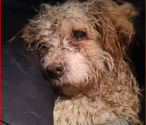 M1212020_�� Weary soul � How do I start this!! � My heart is shattered for him � I want to speak in his name about his pai_