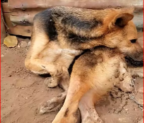 M1612002_#usa #group7 #foryoupage #uktiktok #uk@Alexia @Dale like 38C @Jamie PART2