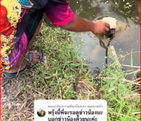 M1612010_Reply to @KhunYaiB: I helped bring this dog up, and the owner has already taken it back to take care of it…_Part 2