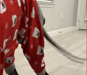 M0112010_Canelo lost so many years he can never get back years where he should…_part2