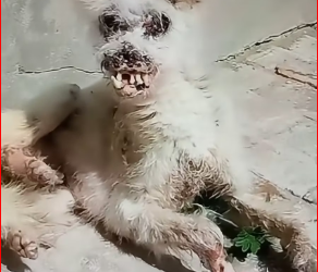 M1612020_TikTok_part2