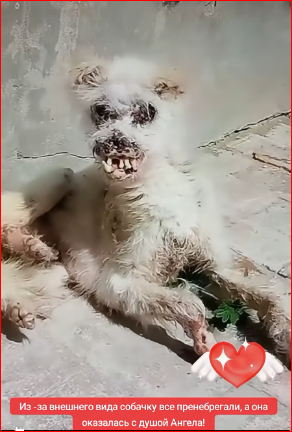 M1612020_TikTok_part2