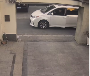 M1612021_poor dog #animal #animals #fyp_part2