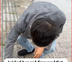 M1612023_Rescue dog #rescue #animals #adoptdontshop #petlover #dog #cutedog_part2