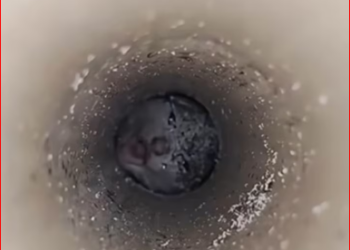 M1612024_how to get kitten out of deep hole#cat #cute #catsoftiktok #c…_part2