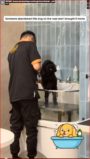 M1612026_Someone abandoned dog on road brought it home #animals…_part2