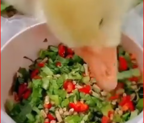 M1612019_#��� #❤️❤️❤️ #���� _744_part2