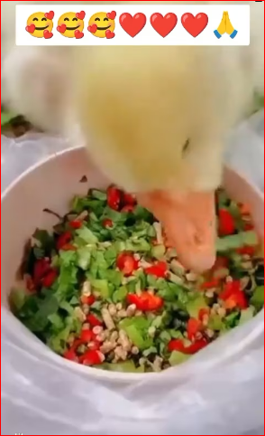 M1612019_#��� #❤️❤️❤️ #���� _744_part2