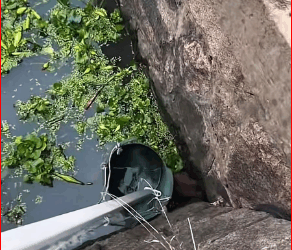 M3011003_Next to my house, there is river. Today, went out to check after_part2