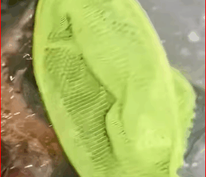 M0112014_#cat #catsoftiktok #poorcat #rescuecat_part2