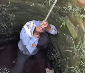 M0112017_few dogs were trapped in well, fortunately, someone discovere…_part2