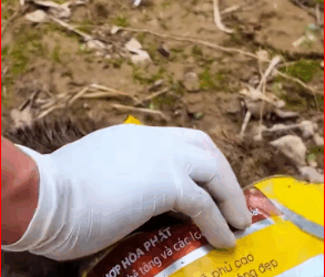 M0112032_Rescue dog#rescueanimal #rescue #animals #rescuedog #dog_part2