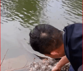 M0112035_Rescue dogs#rescueanimal #rescue #animals #rescuedog #dog_part2