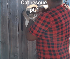 M0112037_heard him crying at midnight but didn see him. My mom was outsi…_part2