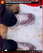 M0412009_Found Four Freezing Puppies Then Discovered Even MORE Hidden in Snow! #fblifestyle People love animals_part2