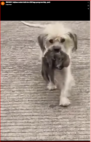 M0412014_helpless mother holds her child begs young man help,_part2