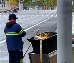 M0412016_Cute animals #cuteanimals #animals #dogs #lovedogs #rescue #animallover_part2