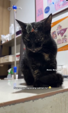 V1601005_PUSANG PINANA_part2