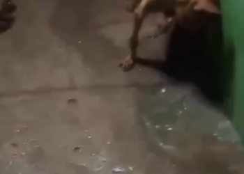 M2301018_Video_903703038675672_part2