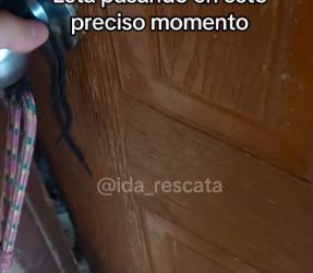 M2301016_Video_1300139191872763_part2