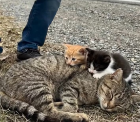 M2301020_He Walked Away Two Lives Broken Heart_part2