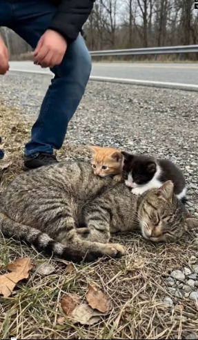 M2301020_He Walked Away Two Lives Broken Heart_part2